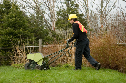 landscaping-services